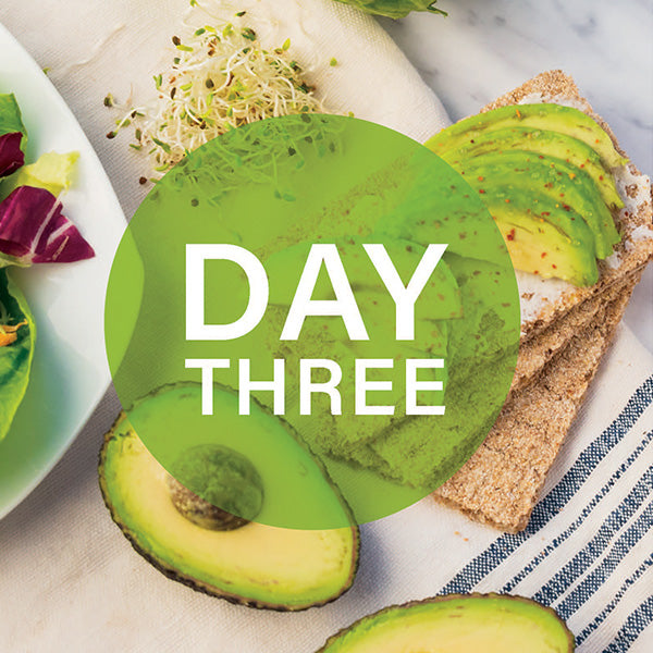 3 Day Metabolic Reset Kit